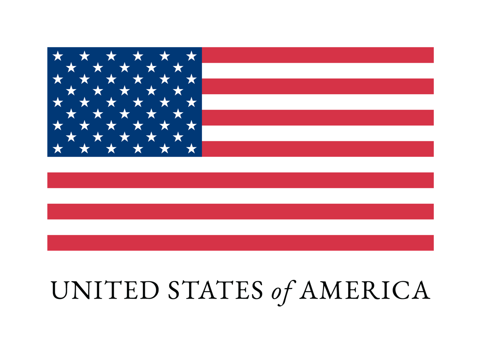 USA Flag Logo